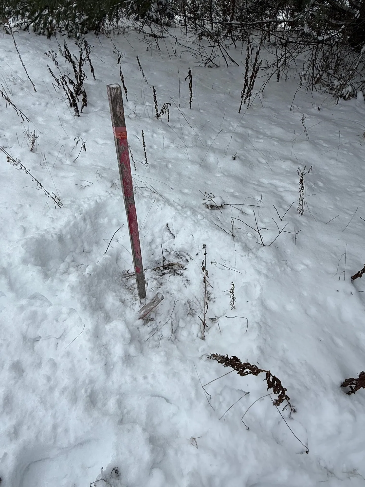 On Us Route 2 W Danville VT 05828