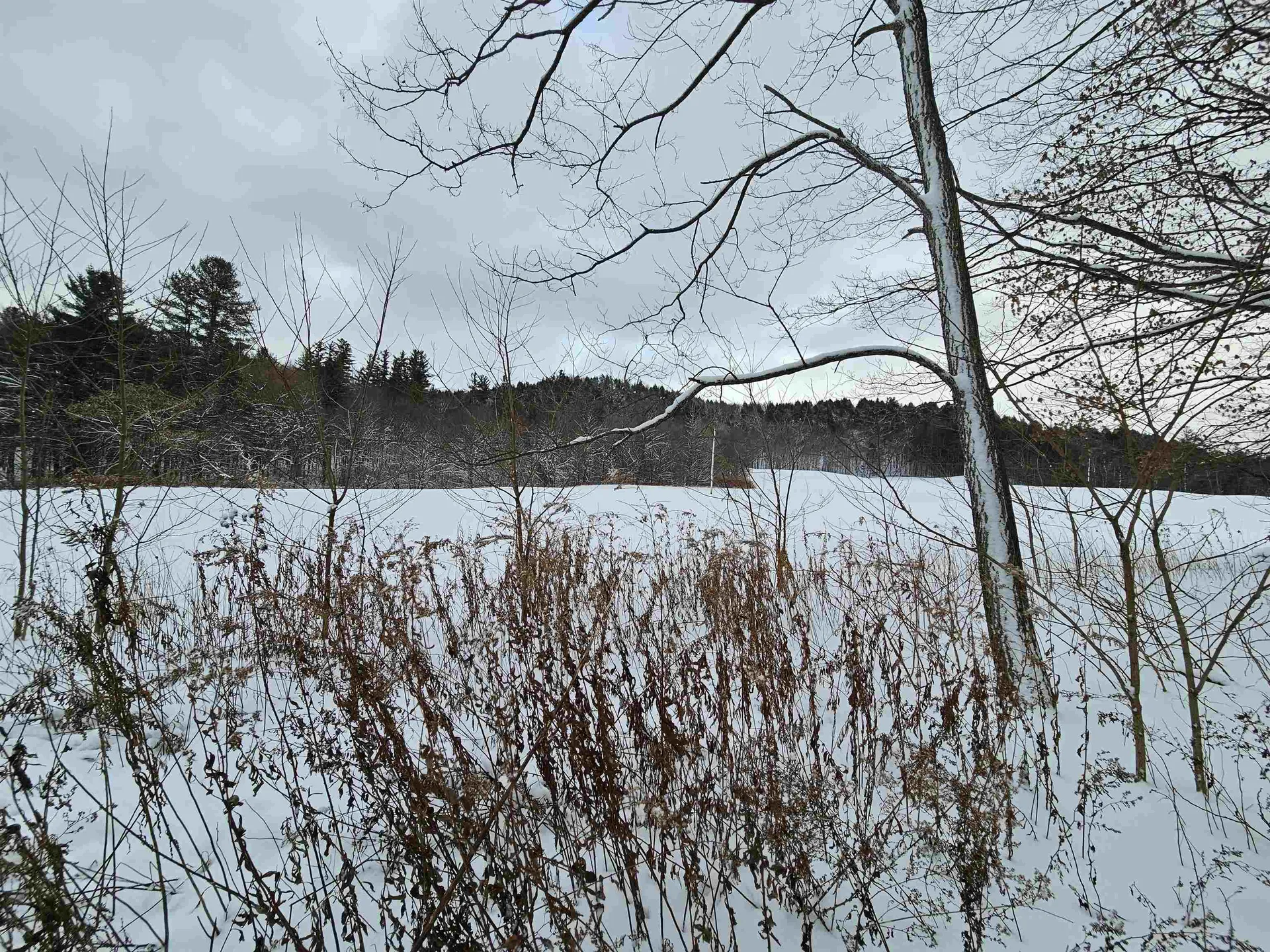 32 Prospect Rock Road Johnson VT 05656