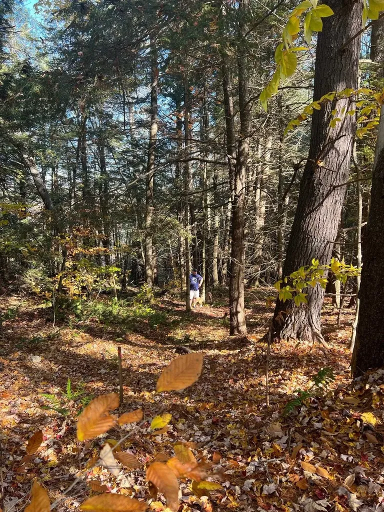 Lot 2 Laurel Lane Wilmot NH 03287