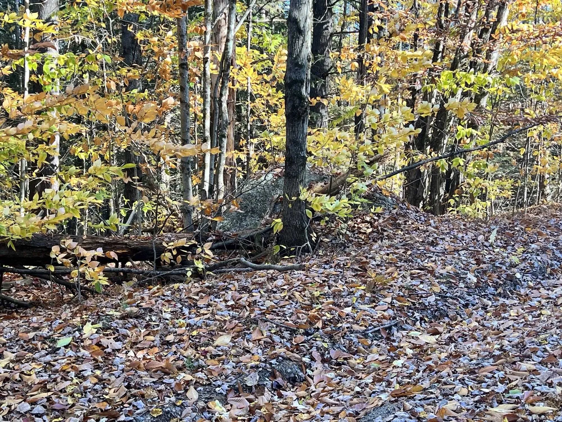 Lot 2 Laurel Lane Wilmot NH 03287