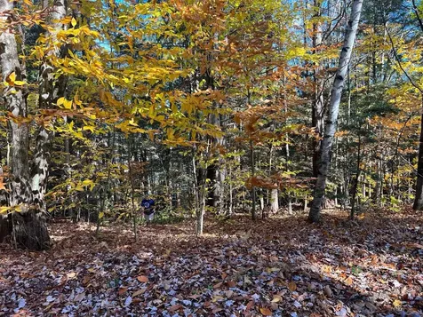 Lot 2 Laurel Lane Wilmot NH 03287