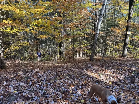 Lot 2 Laurel Lane Wilmot NH 03287