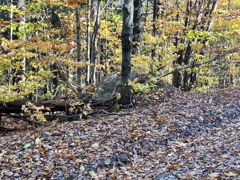 Lot 2 Laurel Lane Wilmot NH 03287