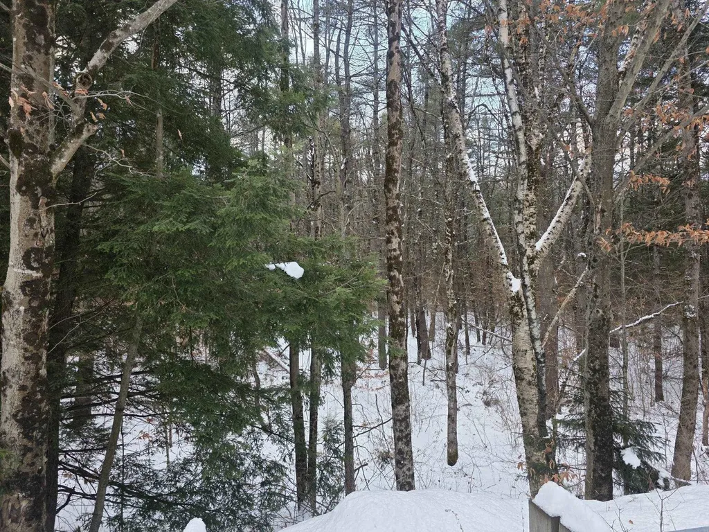 0 Route 10 Gilsum NH 03448