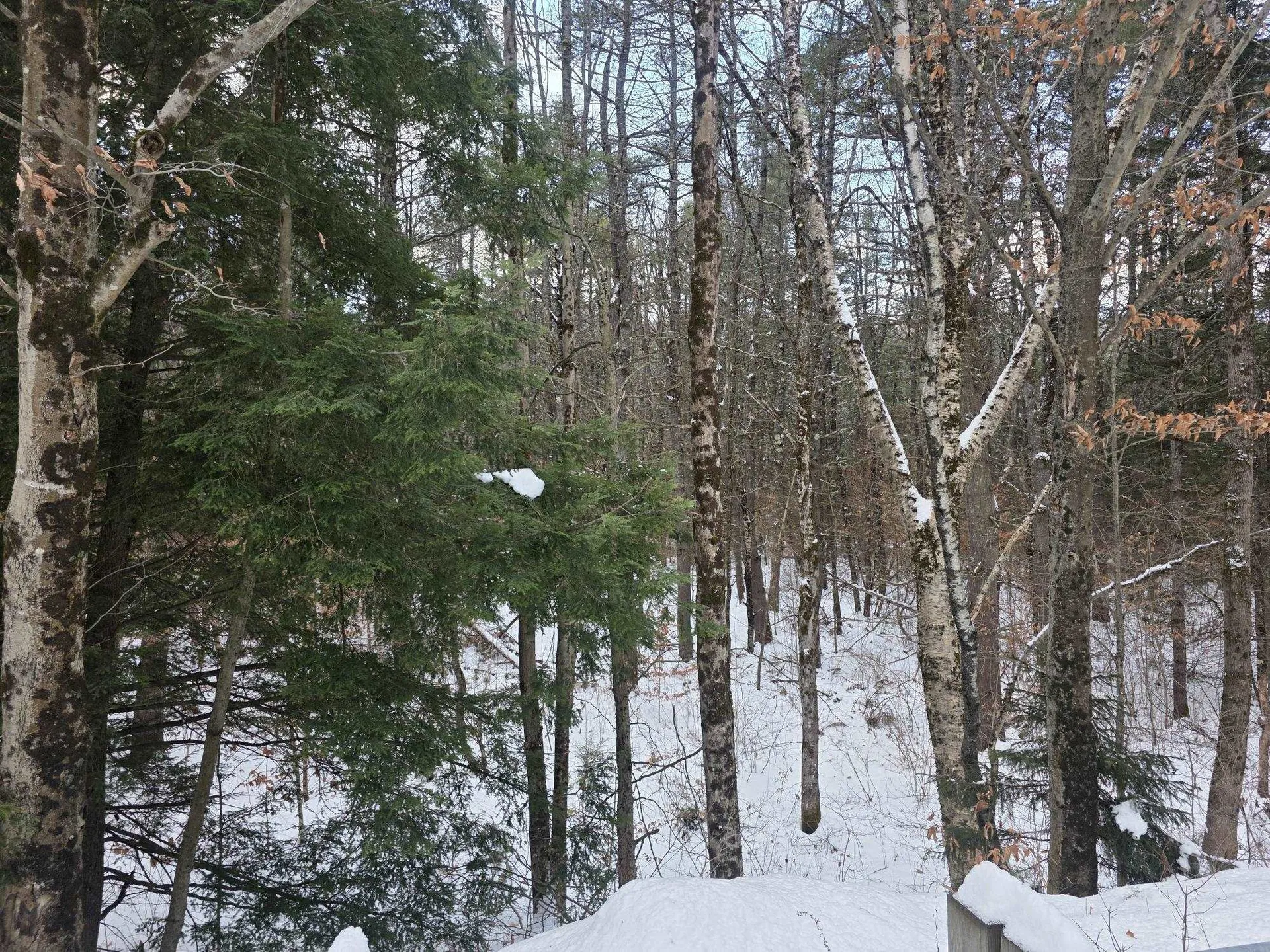 0 Route 10 Gilsum NH 03448