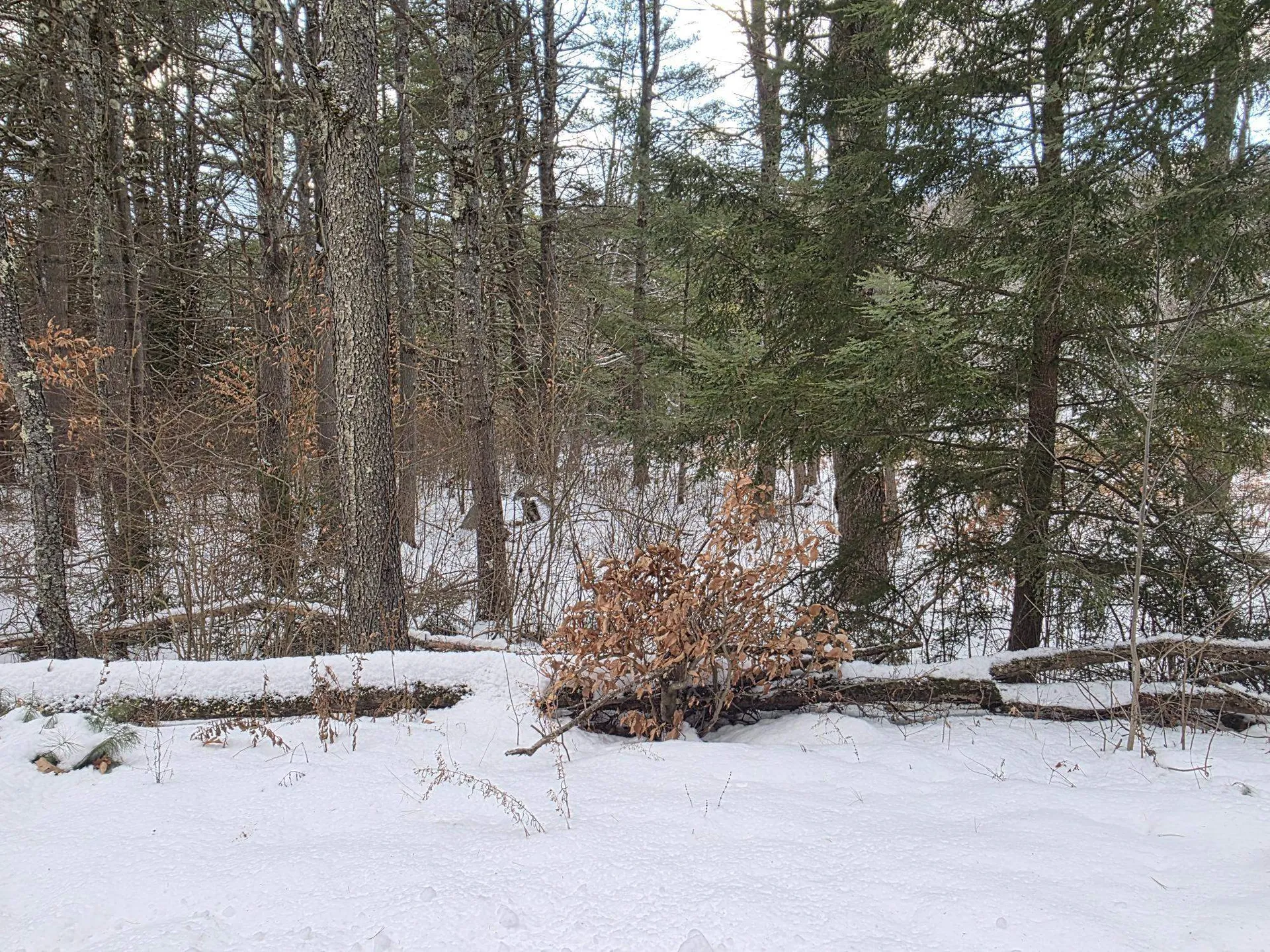 0 Route 10 Gilsum NH 03448