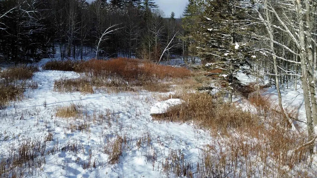 142 Brooks Road Ludlow VT 05149