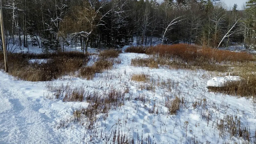 142 Brooks Road Ludlow VT 05149