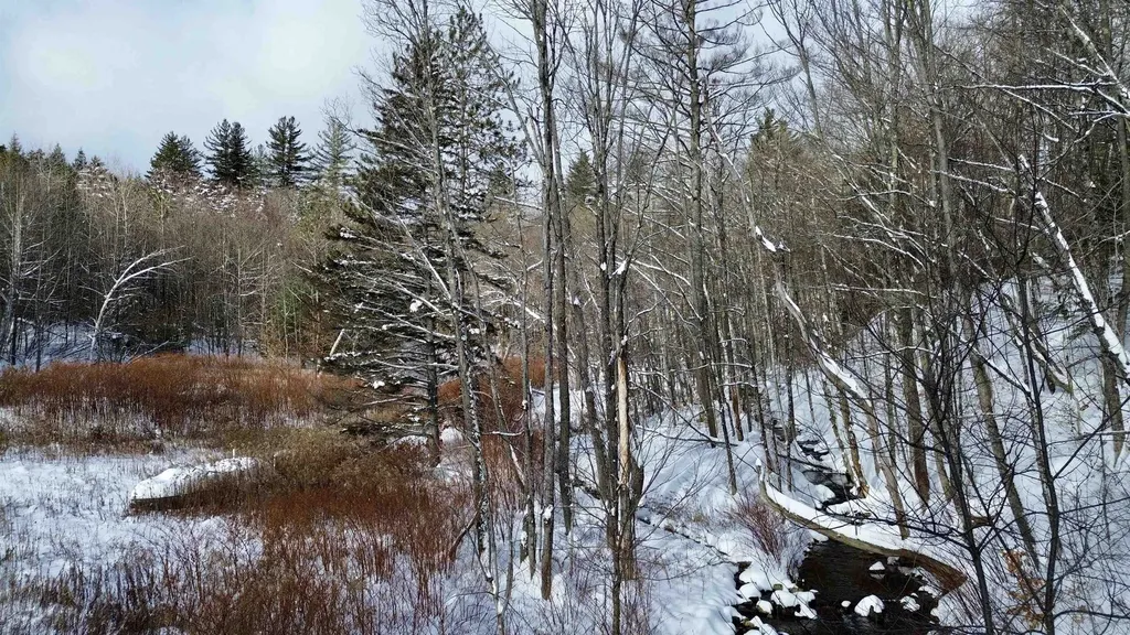 142 Brooks Road Ludlow VT 05149