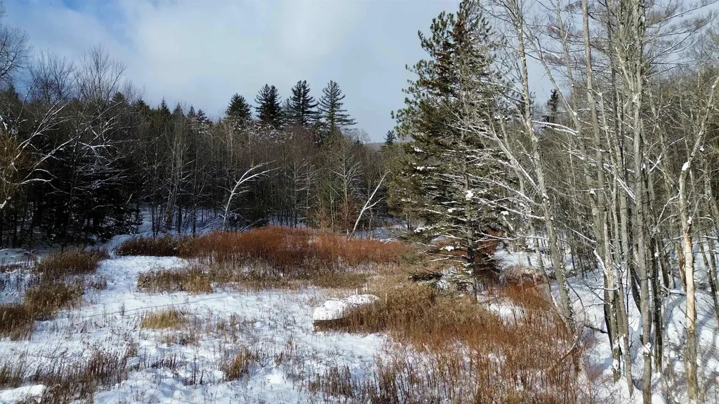 142 Brooks Road Ludlow VT 05149