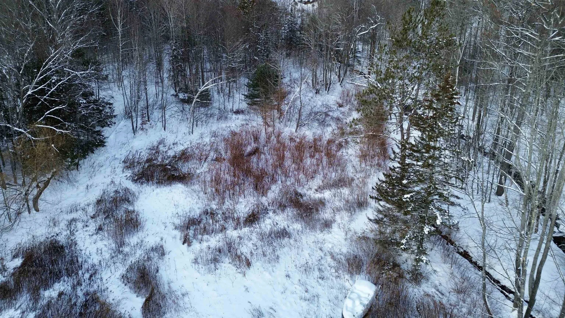 142 Brooks Road Ludlow VT 05149