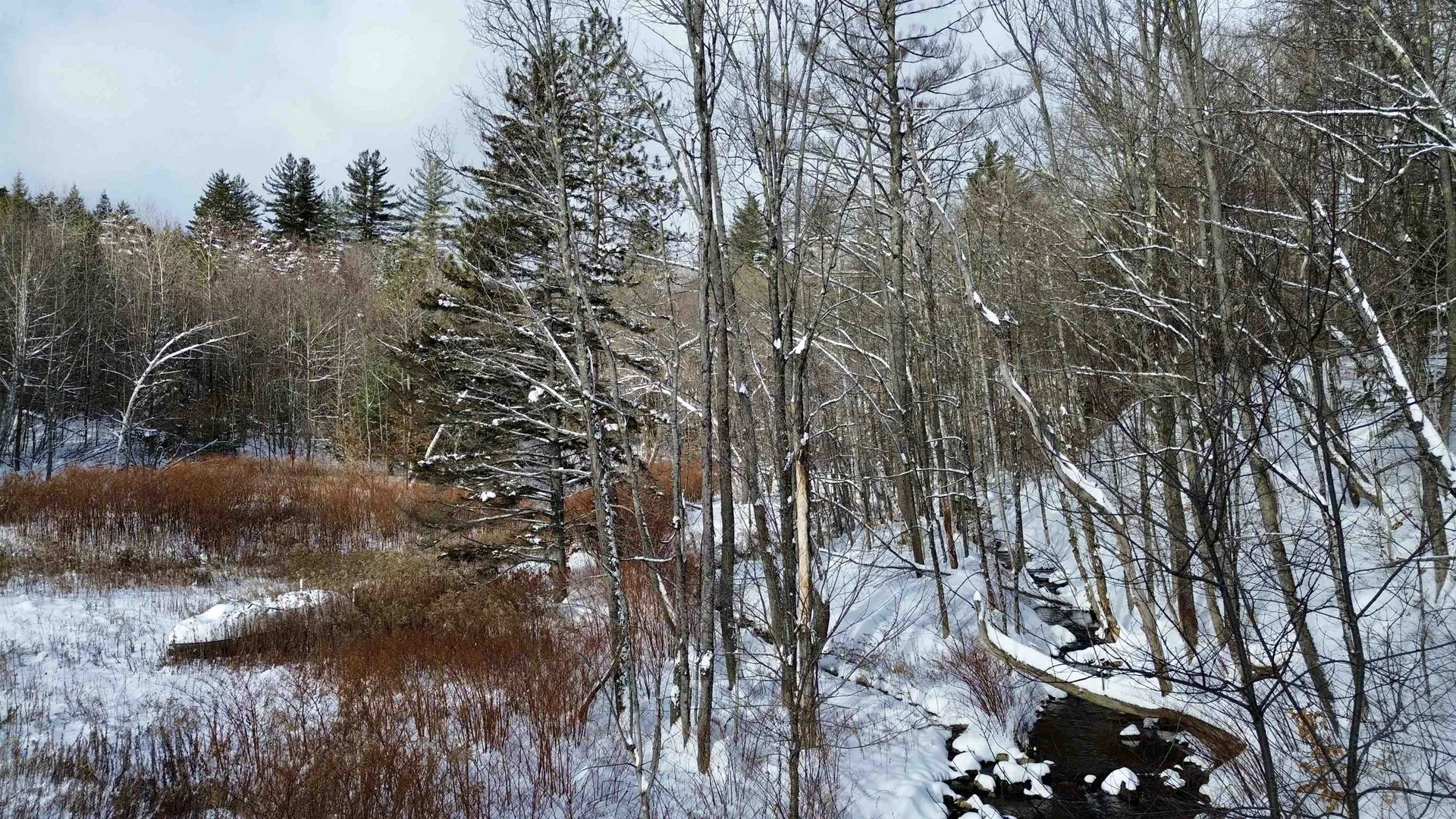 142 Brooks Road Ludlow VT 05149