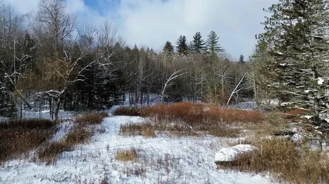 142 Brooks Road Ludlow VT 05149
