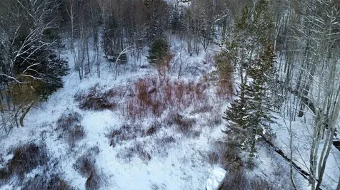 142 Brooks Road Ludlow VT 05149