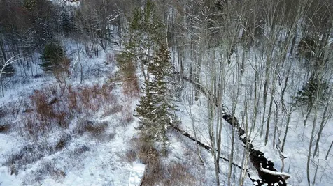 142 Brooks Road Ludlow VT 05149