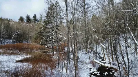 142 Brooks Road Ludlow VT 05149