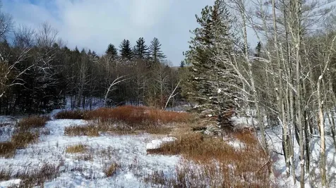 142 Brooks Road Ludlow VT 05149