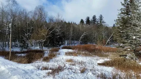 142 Brooks Road Ludlow VT 05149