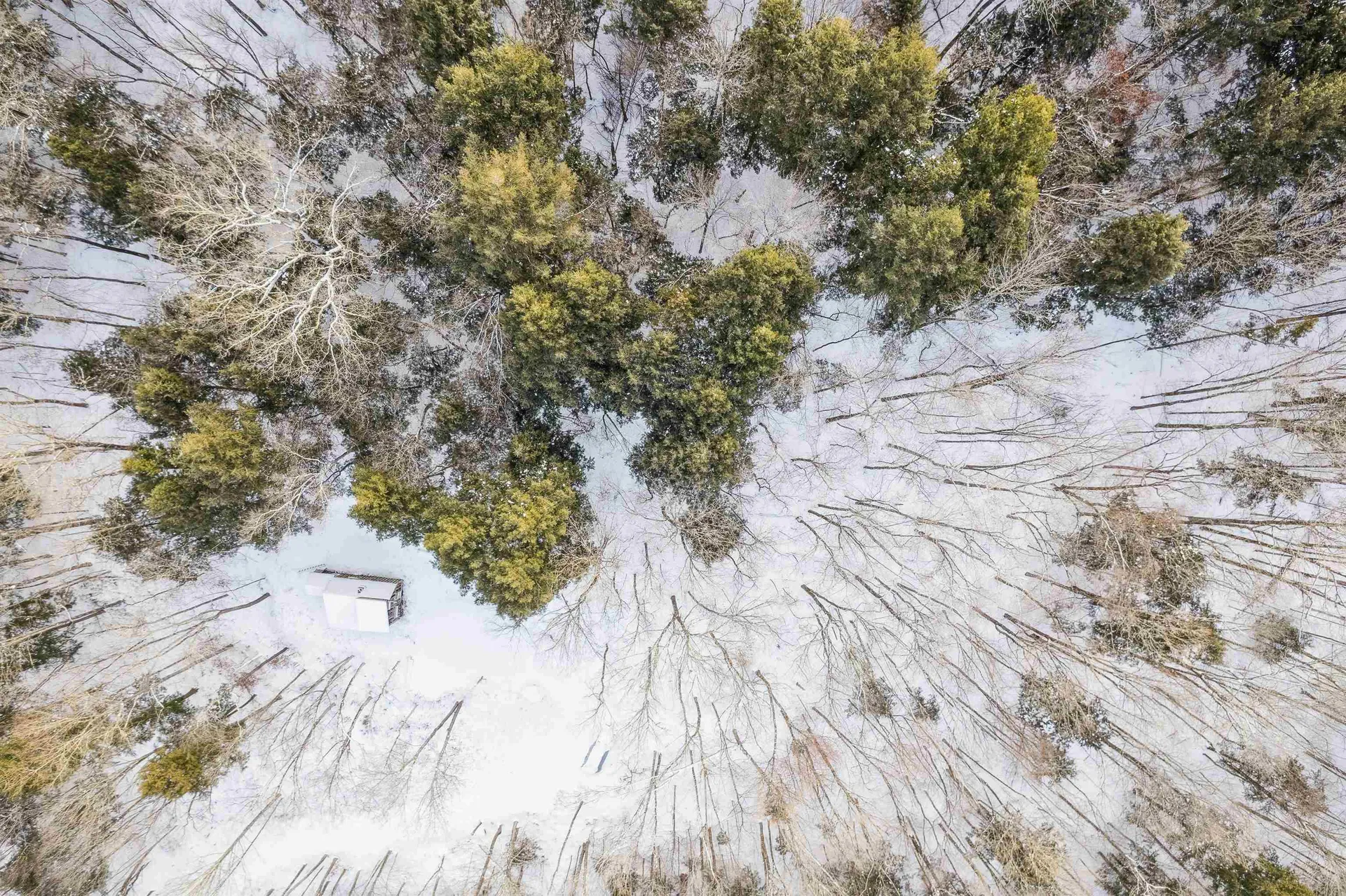 167 Leons Lane Sharon VT 05065