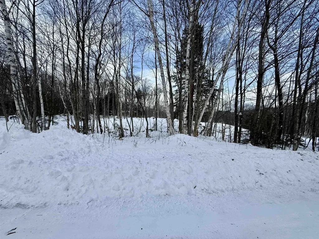 Lot 4 -156 High Peak Way Wilmington VT 05363