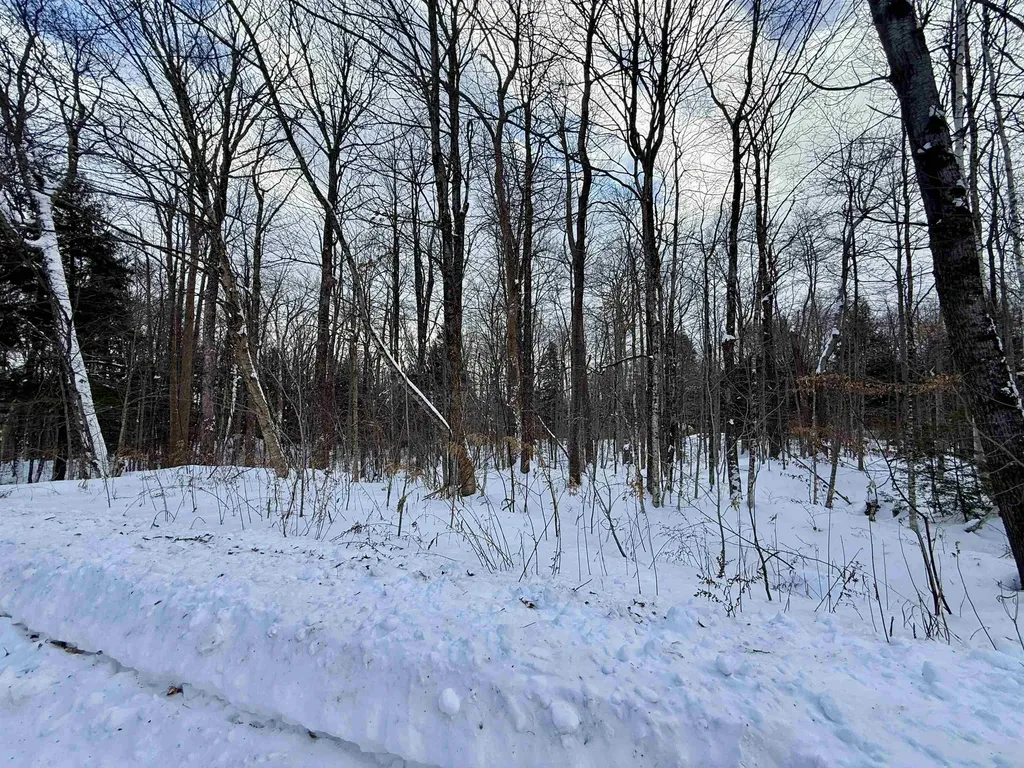 Lot 4 -156 High Peak Way Wilmington VT 05363