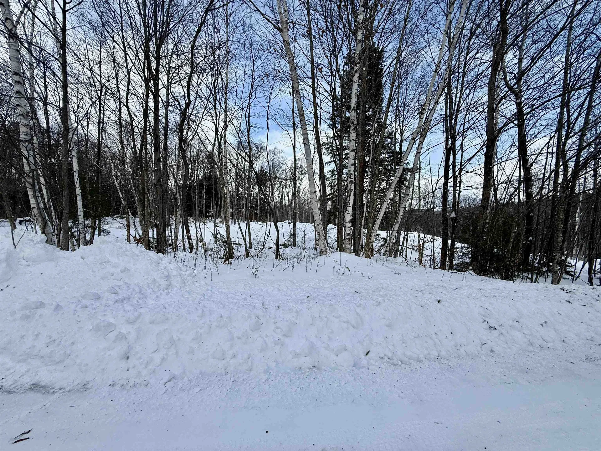 Lot 4 -156 High Peak Way Wilmington VT 05363