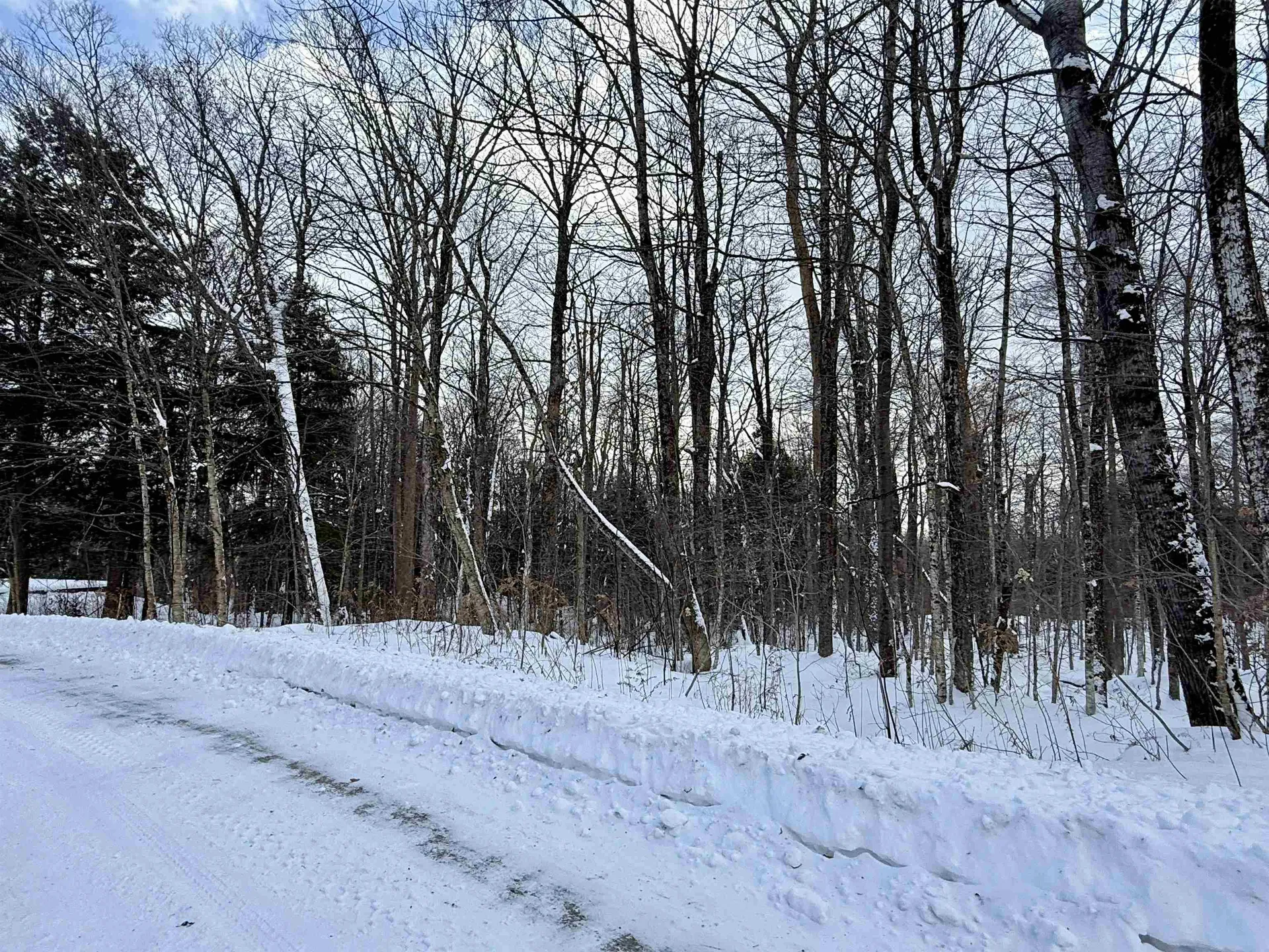 Lot 4 -156 High Peak Way Wilmington VT 05363