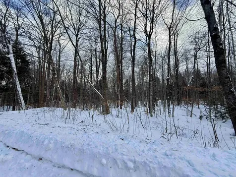 Lot 4 -156 High Peak Way Wilmington VT 05363