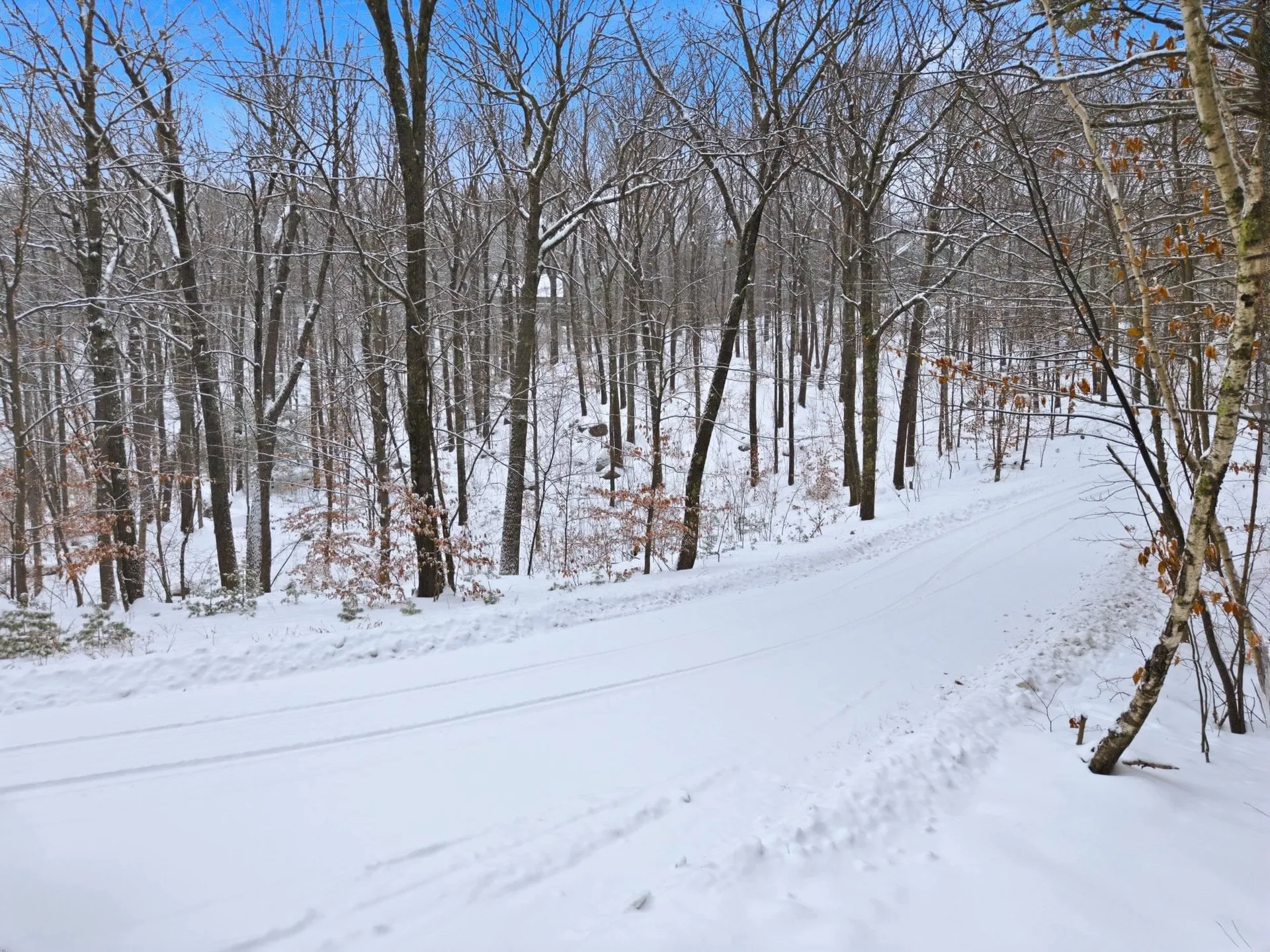 22 West Bergamo Road Madison NH 03849