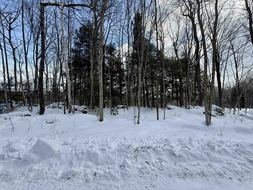Lot 1 - 161 High Peak Way Wilmington VT 05363