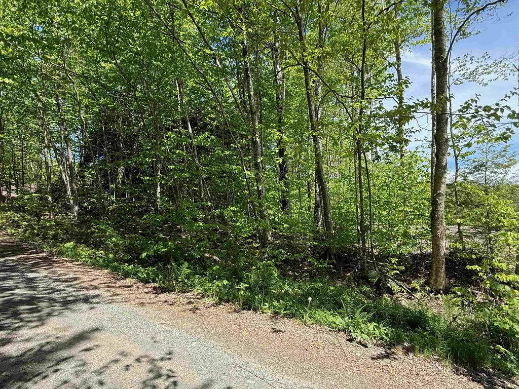 Lot 1 - 161 High Peak Way Wilmington VT 05363