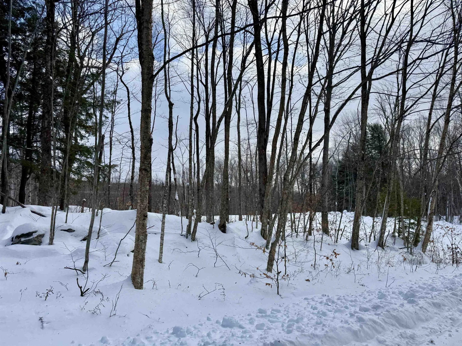 Lot 1 - 161 High Peak Way Wilmington VT 05363