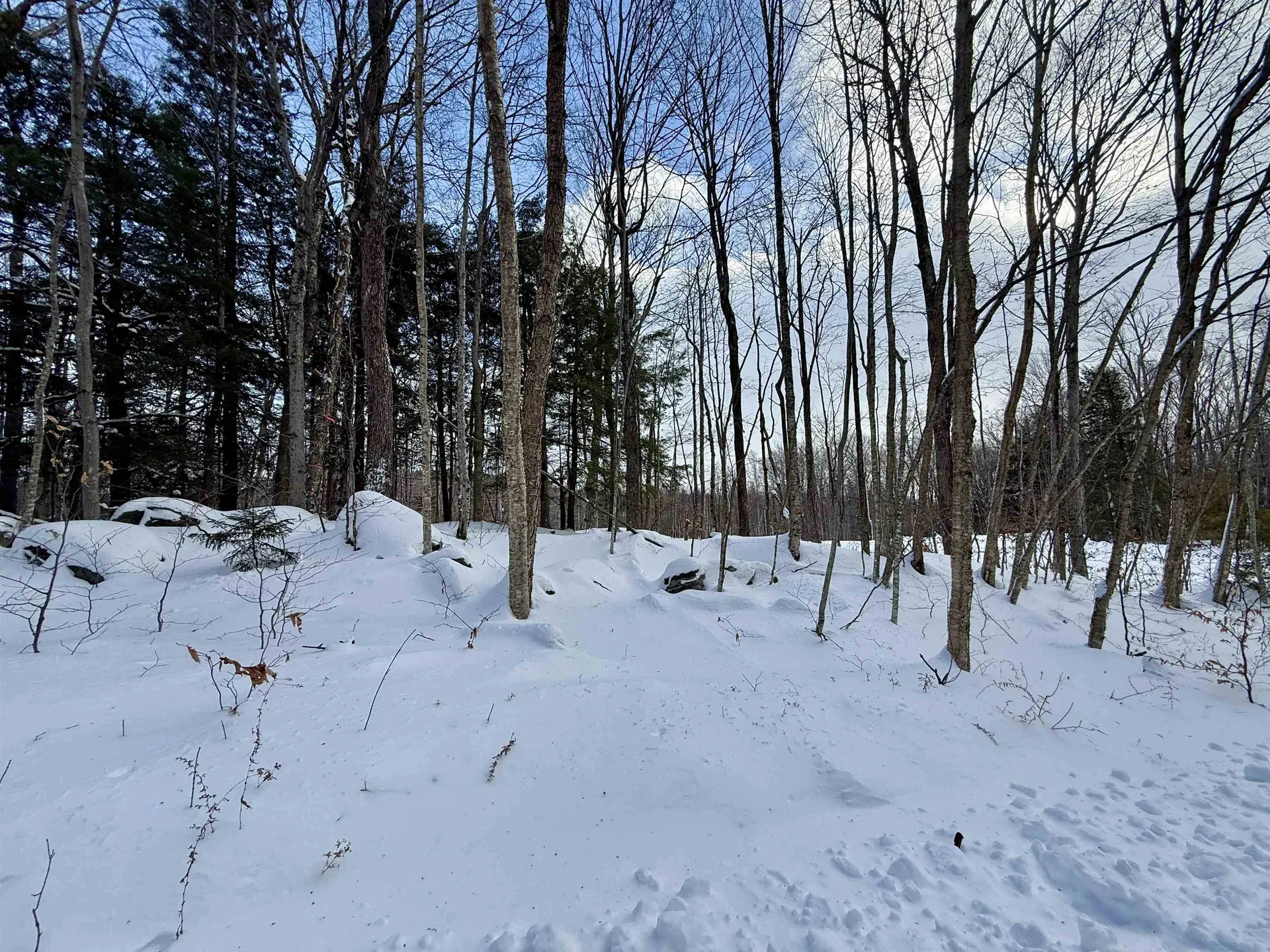 Lot 1 - 161 High Peak Way Wilmington VT 05363