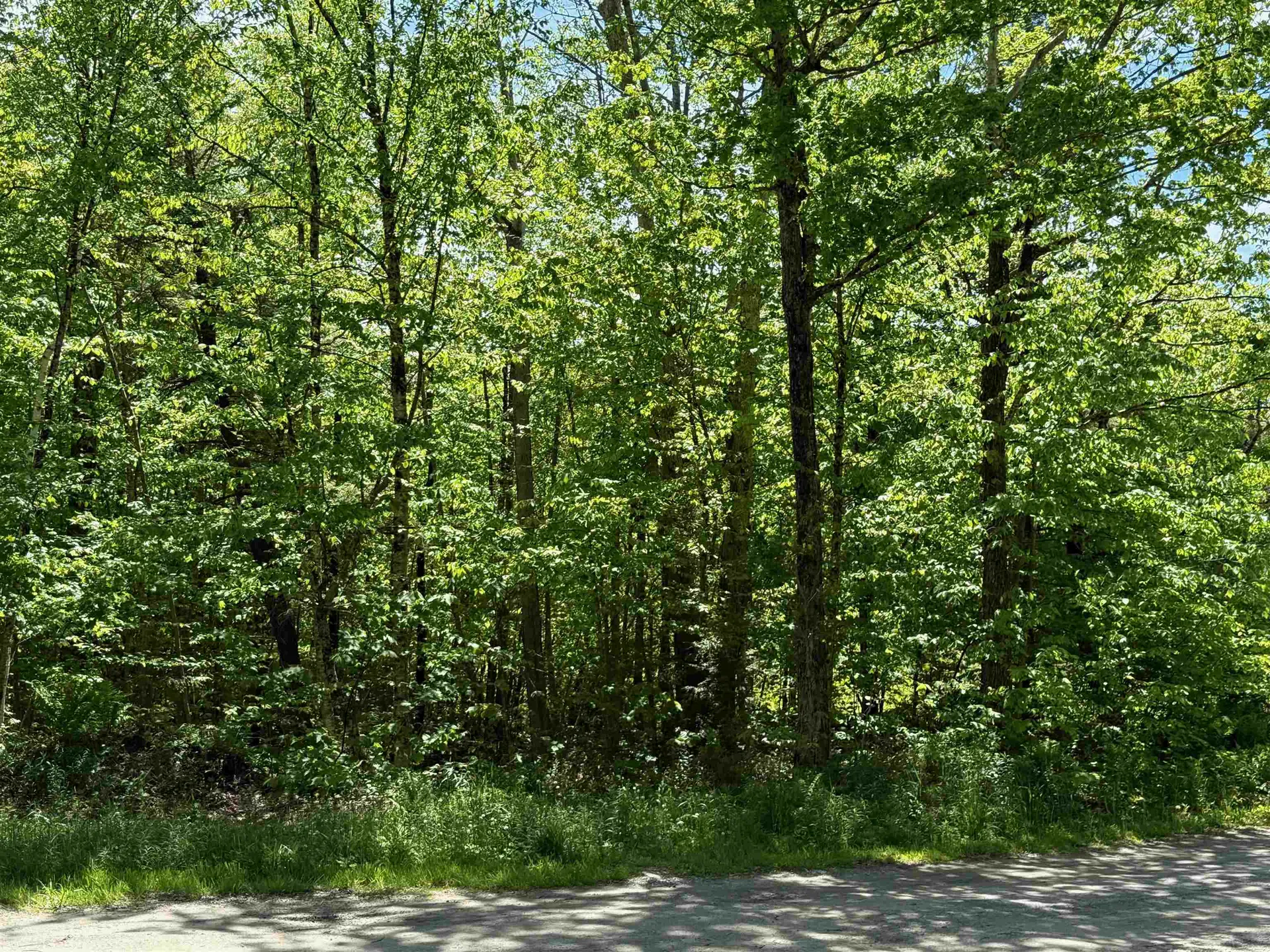 Lot 1 - 161 High Peak Way Wilmington VT 05363