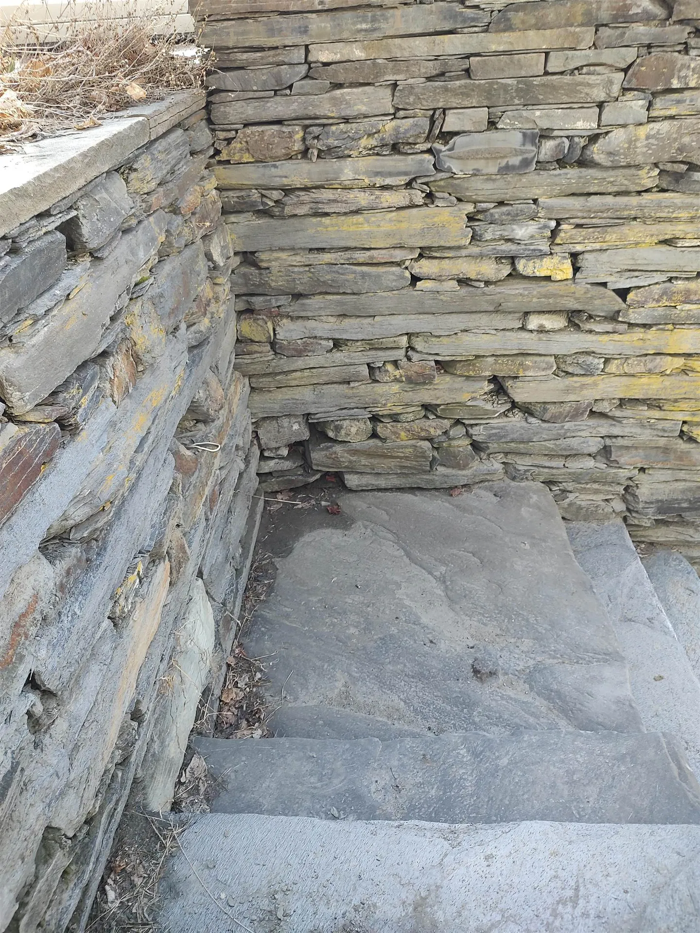 6 Park Street Randolph VT 05060