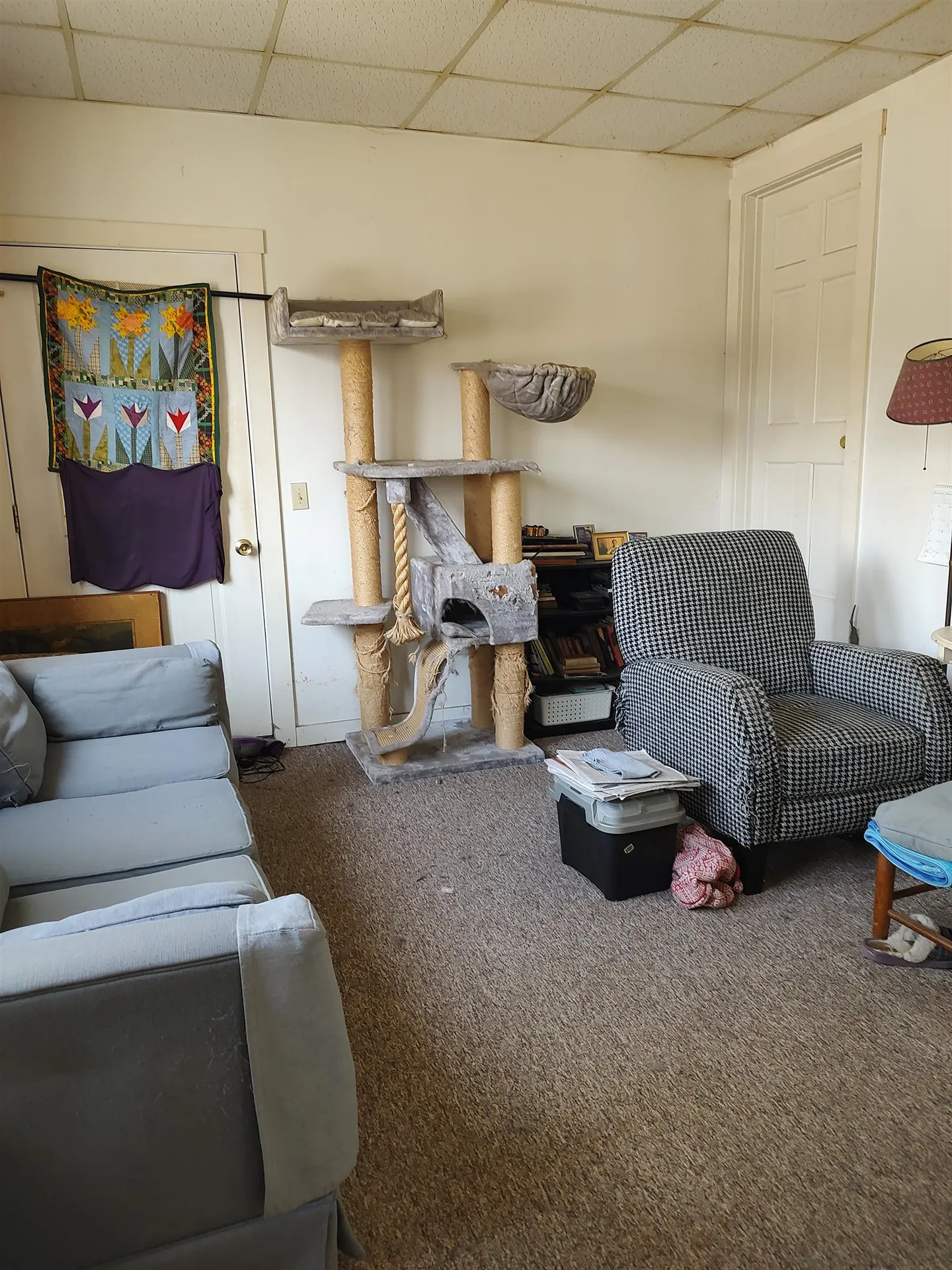 6 Park Street Randolph VT 05060