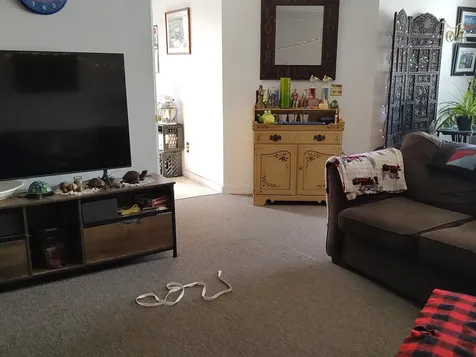 6 Park Street Randolph VT 05060