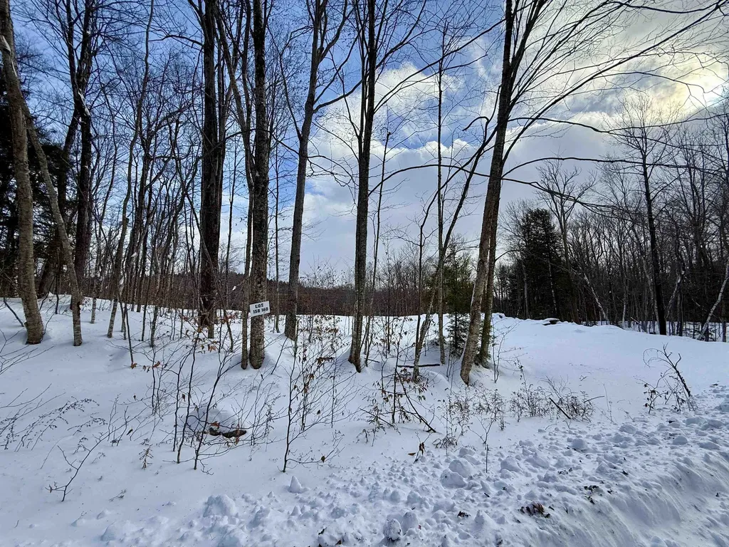 Lot 3 158/160 High Peak Way Wilmington VT 05363