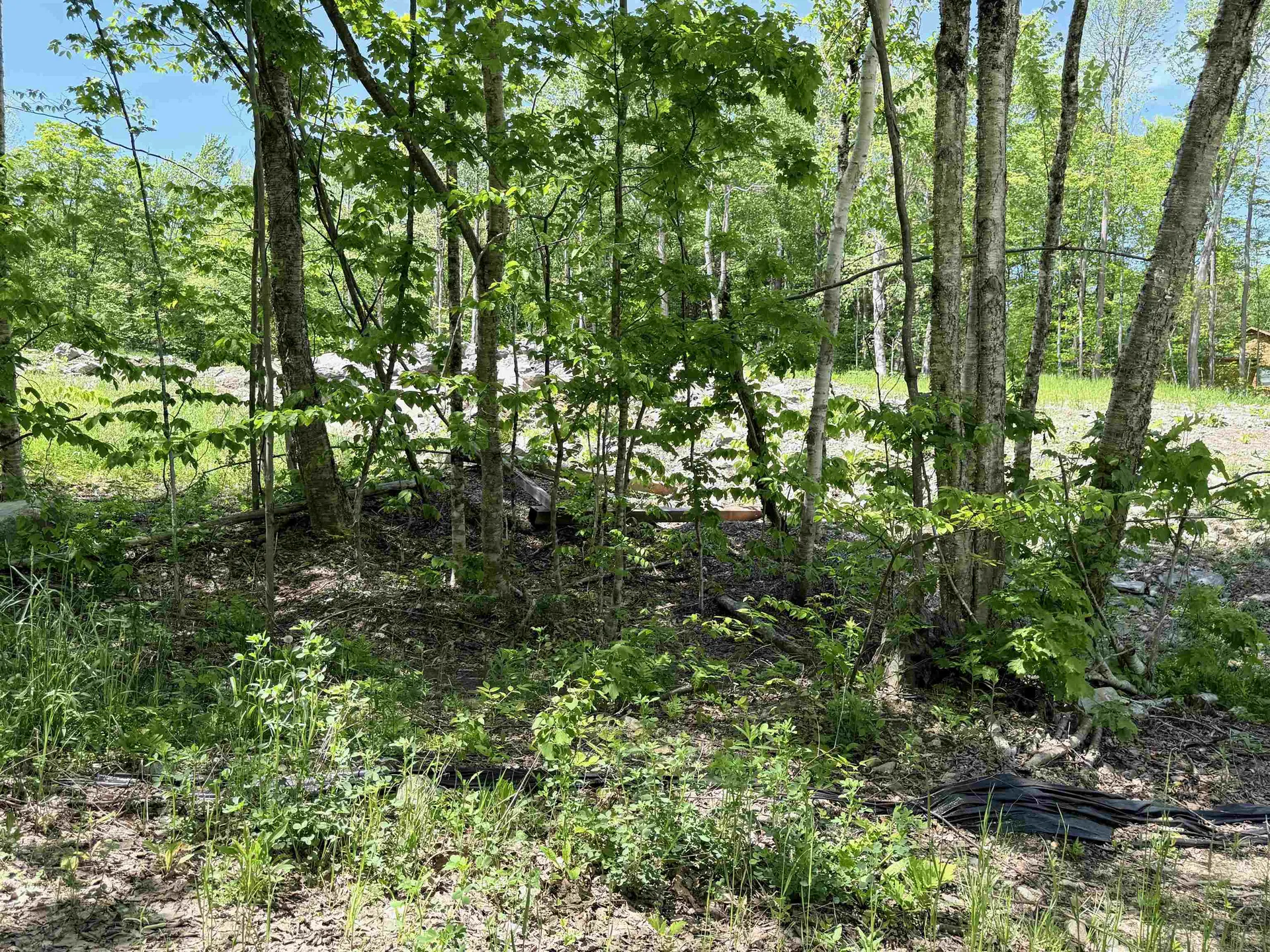 Lot 3 158/160 High Peak Way Wilmington VT 05363