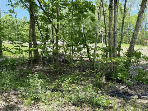 Lot 3 158/160 High Peak Way Wilmington VT 05363
