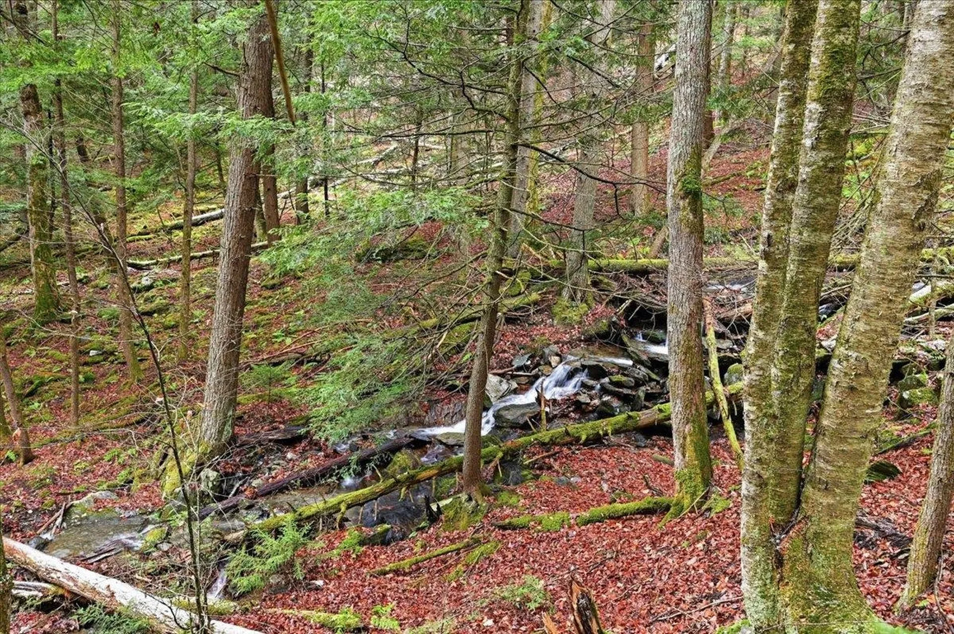 1075 Butternut Hill Road Waitsfield VT 05673