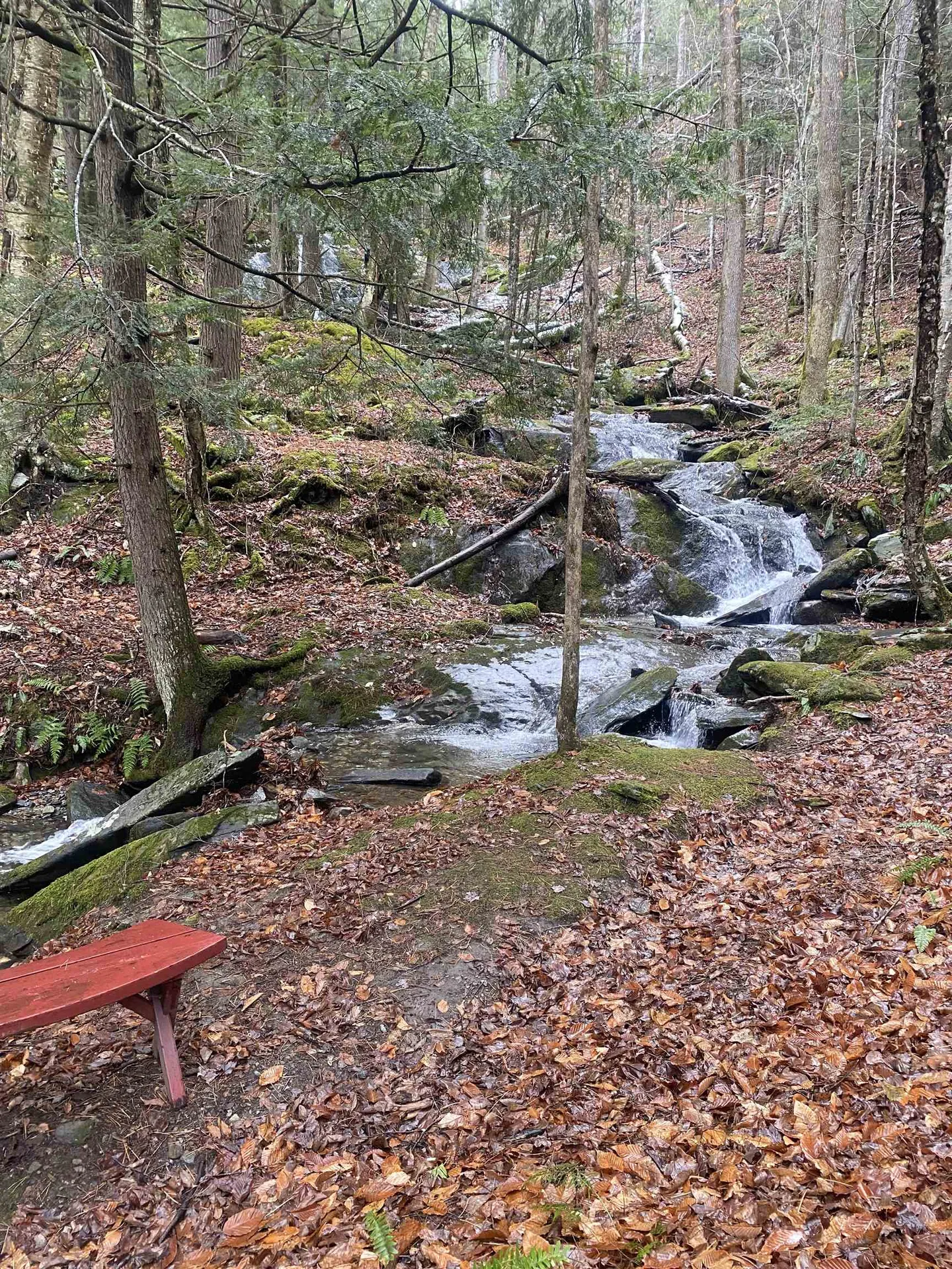 1075 Butternut Hill Road Waitsfield VT 05673