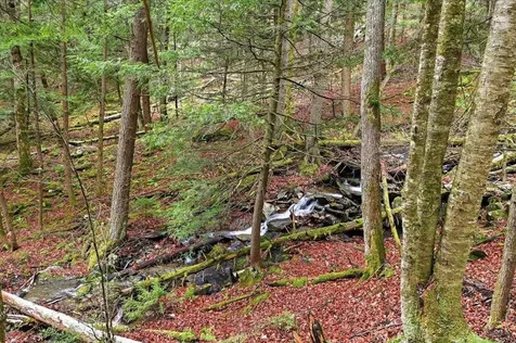 1075 Butternut Hill Road Waitsfield VT 05673