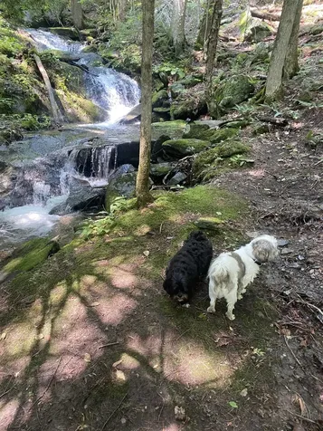 1075 Butternut Hill Road Waitsfield VT 05673