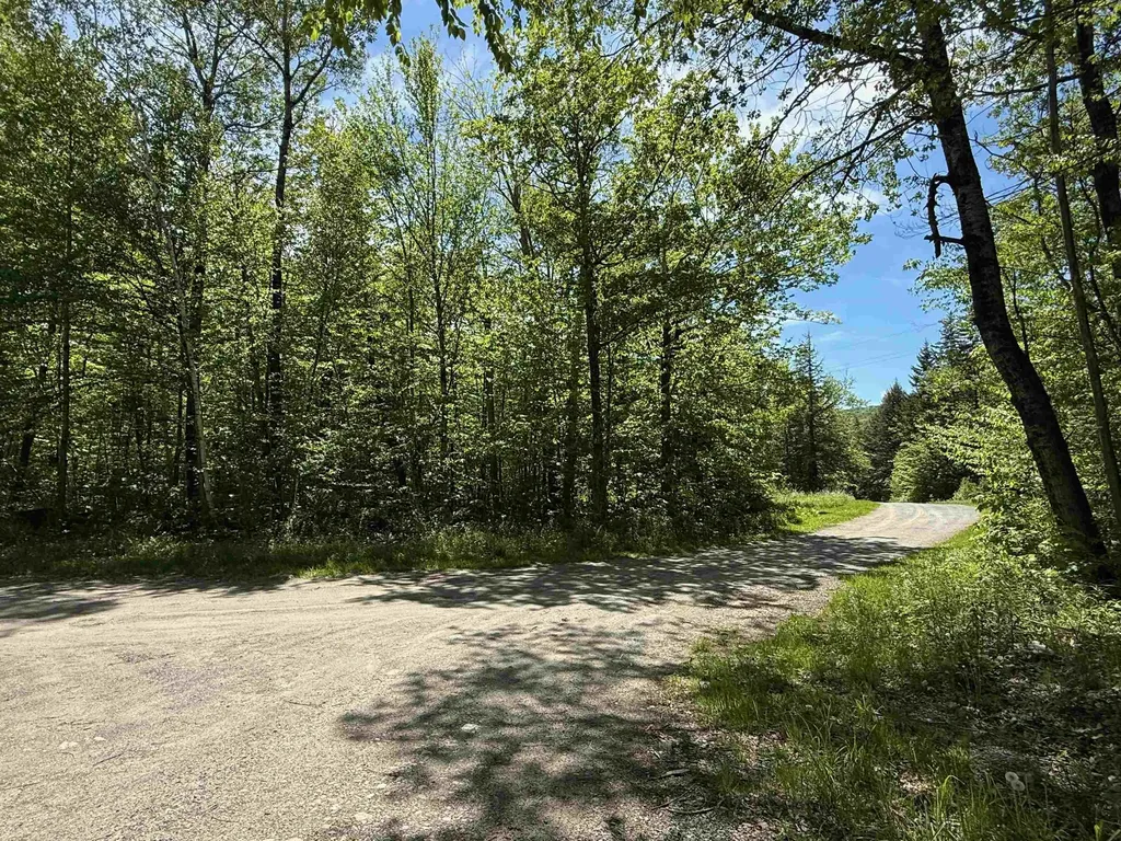 Lot 2 - 162 High Peak Way Wilmington VT 05363