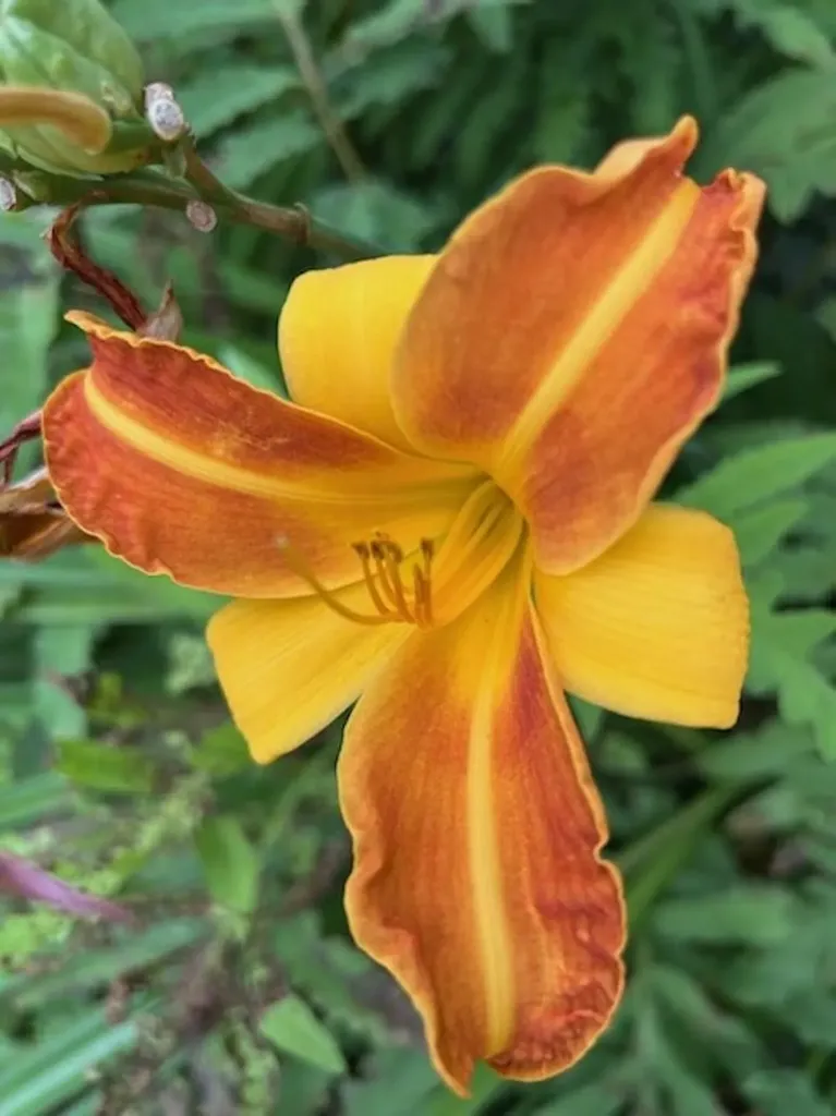 73 Pauls Square East Montpelier VT 05651