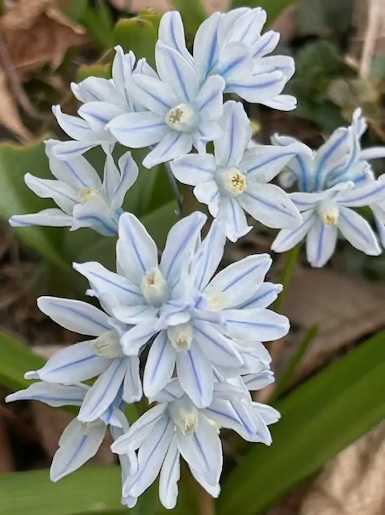 73 Pauls Square East Montpelier VT 05651