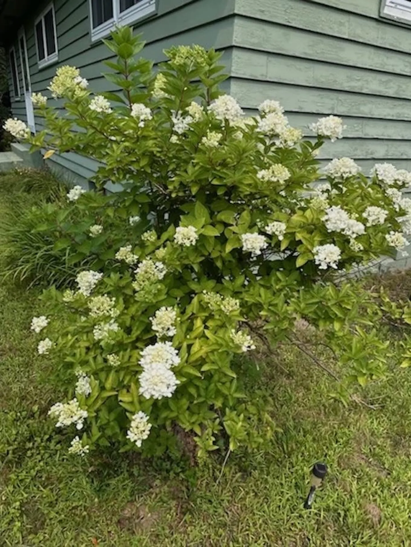 73 Pauls Square East Montpelier VT 05651