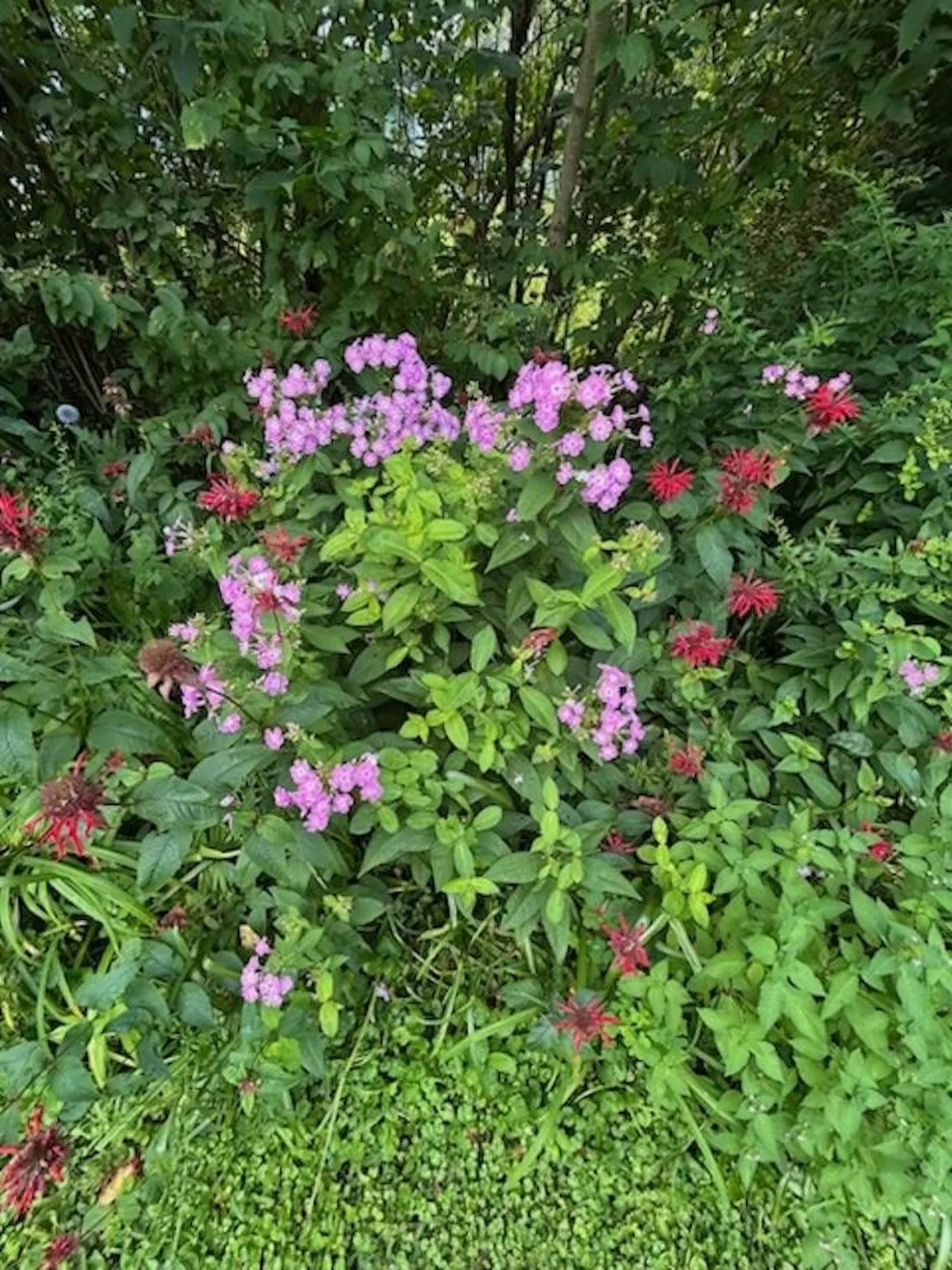 73 Pauls Square East Montpelier VT 05651