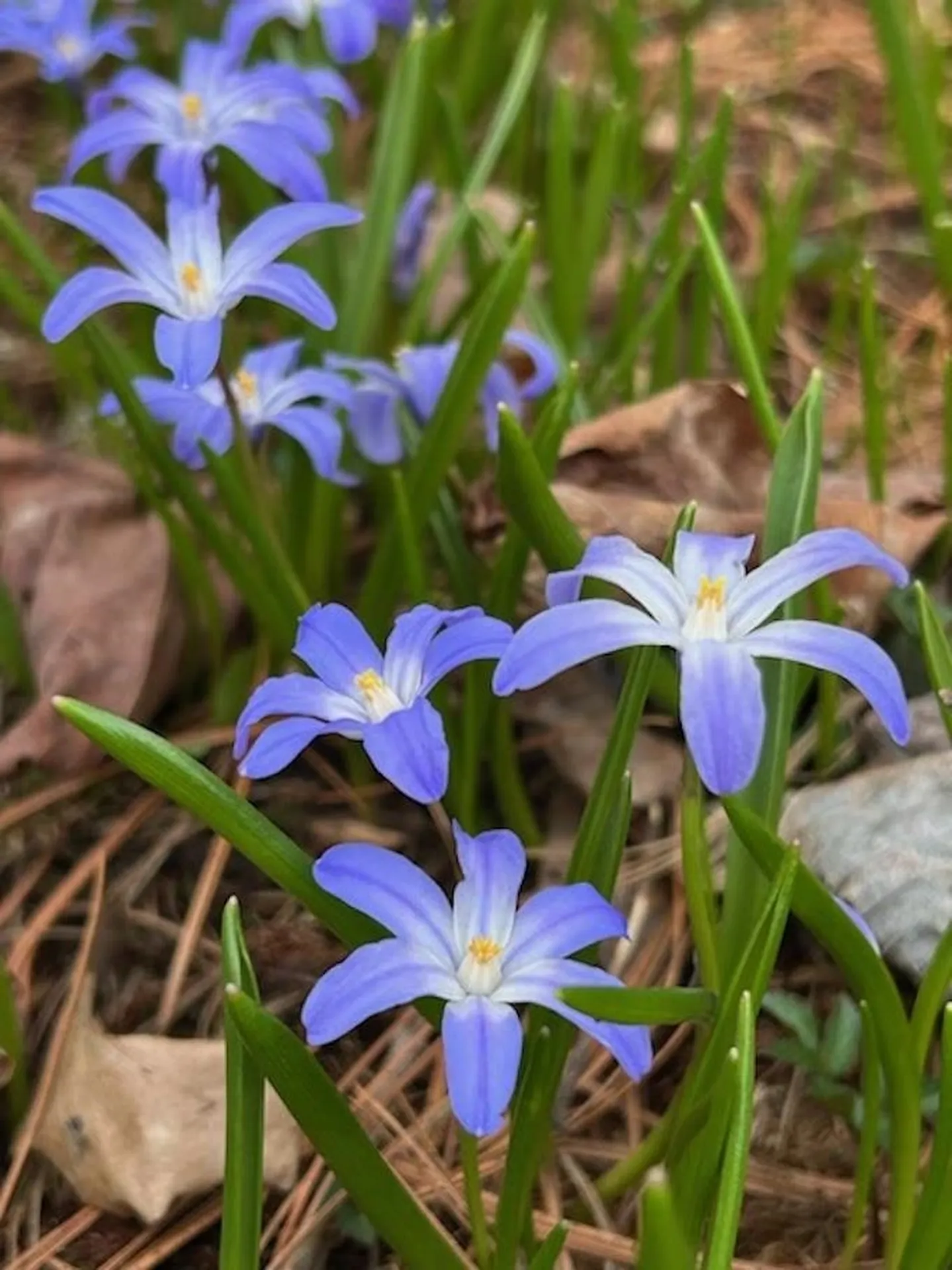 73 Pauls Square East Montpelier VT 05651